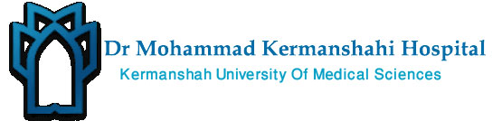 رسانه جدید