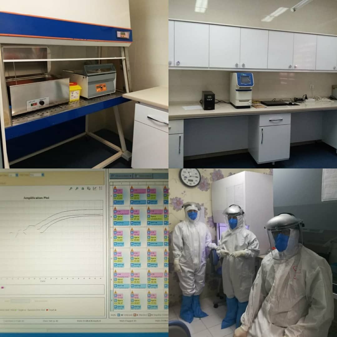 ازمایشگاه pcr